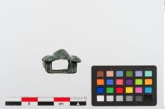 Foto von Bronzeriemendurchzug (NHMW-PRAE-024384)